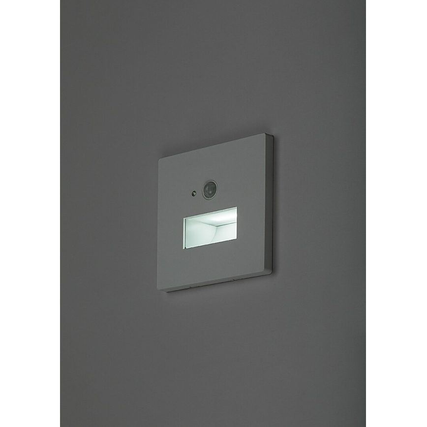Rabalux - LED Schodišťové svítidlo se senzorem pohybu a soumraku LED/1W/230V 3000/4500/6500K bílá