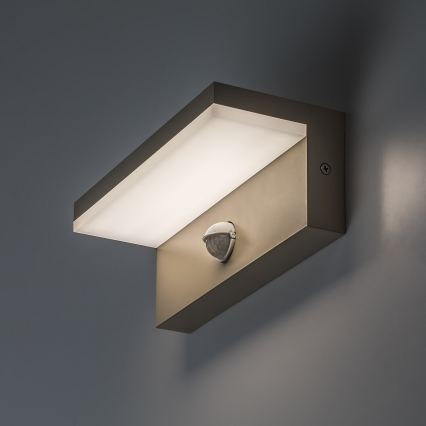 Rabalux - LED Venkovní nástěnné svítidlo se senzorem LED/9W/230V IP54 béžová