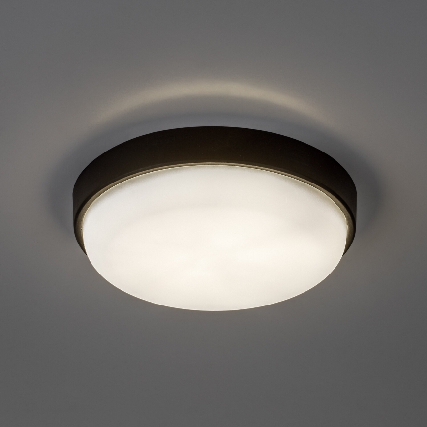 Rabalux - LED Venkovní stropní svítidlo LED/14W/230V IP54 černá