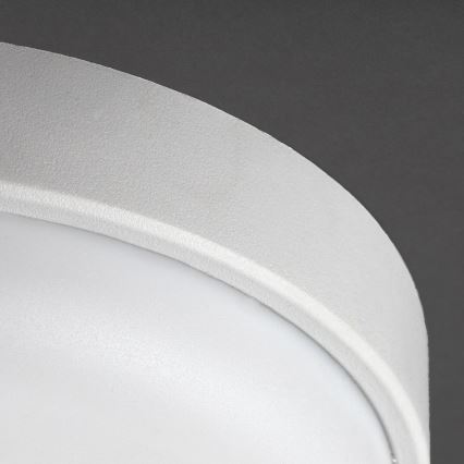 Rabalux - LED Venkovní stropní svítidlo LED/14W/230V IP54 bílá