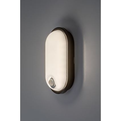 Rabalux - LED Venkovní stropní svítidlo se senzorem LED/15W/230V IP65 černá