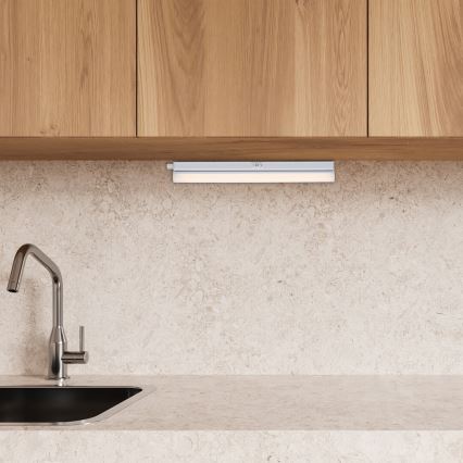 Rabalux - LED Podlinkové svítidlo LED/4W/230V 3000/4000K bílá
