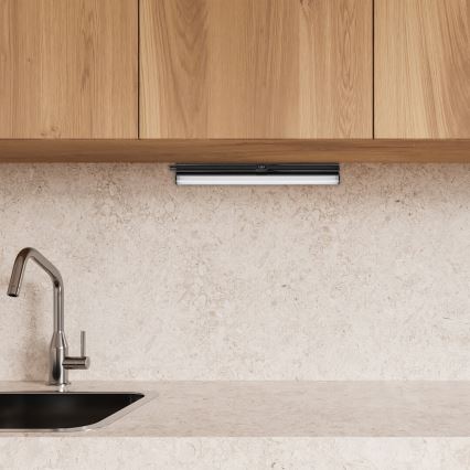 Rabalux - LED Podlinkové svítidlo LED/4W/230V 3000/4000K černá
