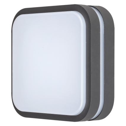 Rabalux - LED Venkovní nástěnné svítidlo LED/12W/230V IP44