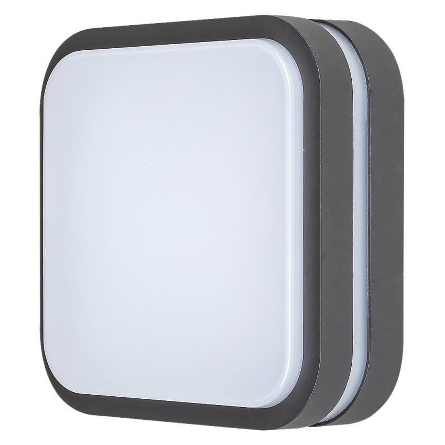 Rabalux - LED Venkovní nástěnné svítidlo LED/12W/230V IP44