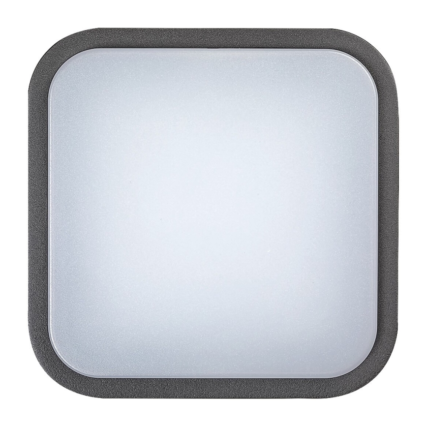 Rabalux - LED Venkovní nástěnné svítidlo LED/12W/230V IP44