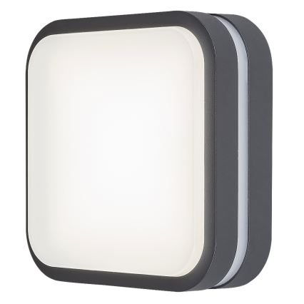 Rabalux - LED Venkovní nástěnné svítidlo LED/12W/230V IP44