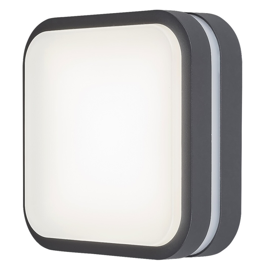 Rabalux - LED Venkovní nástěnné svítidlo LED/12W/230V IP44