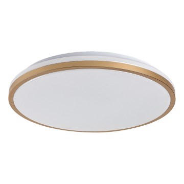 Rabalux - LED Koupelnové stropní svítidlo LED/18W/230V IP44 pr. 34 cm