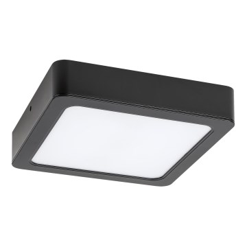 Rabalux - LED Koupelnové stropní svítidlo LED/24W/230V 22x22 cm IP44