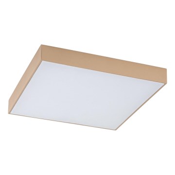 Rabalux - LED Koupelnové stropní svítidlo LED/24W/230V 2800/4000/6000K IP44