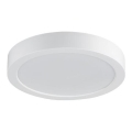Rabalux - LED Koupelnové stropní svítidlo LED/24W/230V 4000K pr. 22 cm IP44 bílá
