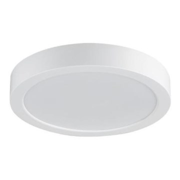 Rabalux - LED Koupelnové stropní svítidlo LED/24W/230V 4000K pr. 22 cm IP44 bílá