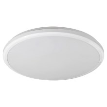 Rabalux - LED Koupelnové stropní svítidlo LED/24W/230V IP65