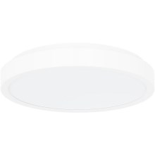 Rabalux - LED Koupelnové stropní svítidlo LED/48W/230V IP44 4000K pr. 42 cm bílá