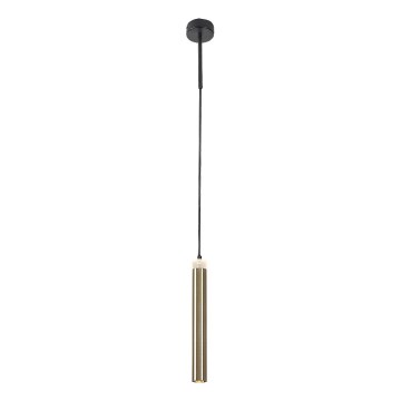 Rabalux - LED Lustr na lanku LED/10W/230V 4000K černá/zlatá