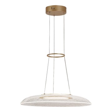 Rabalux - LED Lustr na lanku LED/24W/230V 3000K