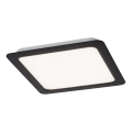Rabalux - LED Podhledové svítidlo LED/12W/230V 4000K 14,5x14,5 cm