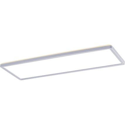 Rabalux - LED Přisazený panel LED/22W/230V