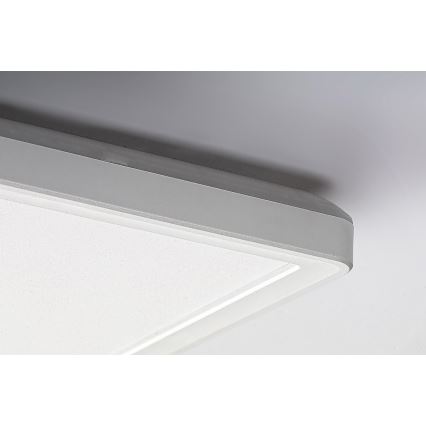 Rabalux - LED Přisazený panel LED/22W/230V