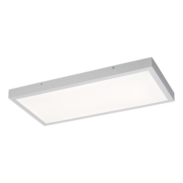 Rabalux - LED Přisazený panel LED/24W/230V 4000K 60x30 cm