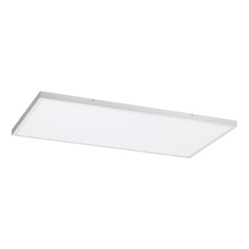 Rabalux - LED Přisazený panel LED/80W/230V 4000K 120x60 cm