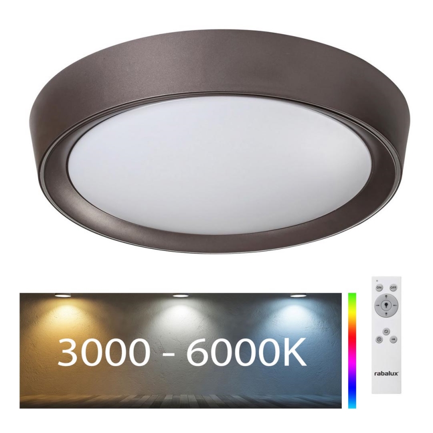 Rabalux - LED RGB Stmívatelné stropní svítidlo LED/24W/230V 3000-6000K + dálkové ovládání