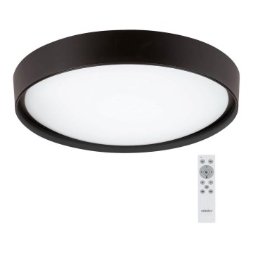 Rabalux - LED RGB Stmívatelné svítidlo LED/40W/230V 2700-6500 Wi-Fi pr. 50 cm + Do