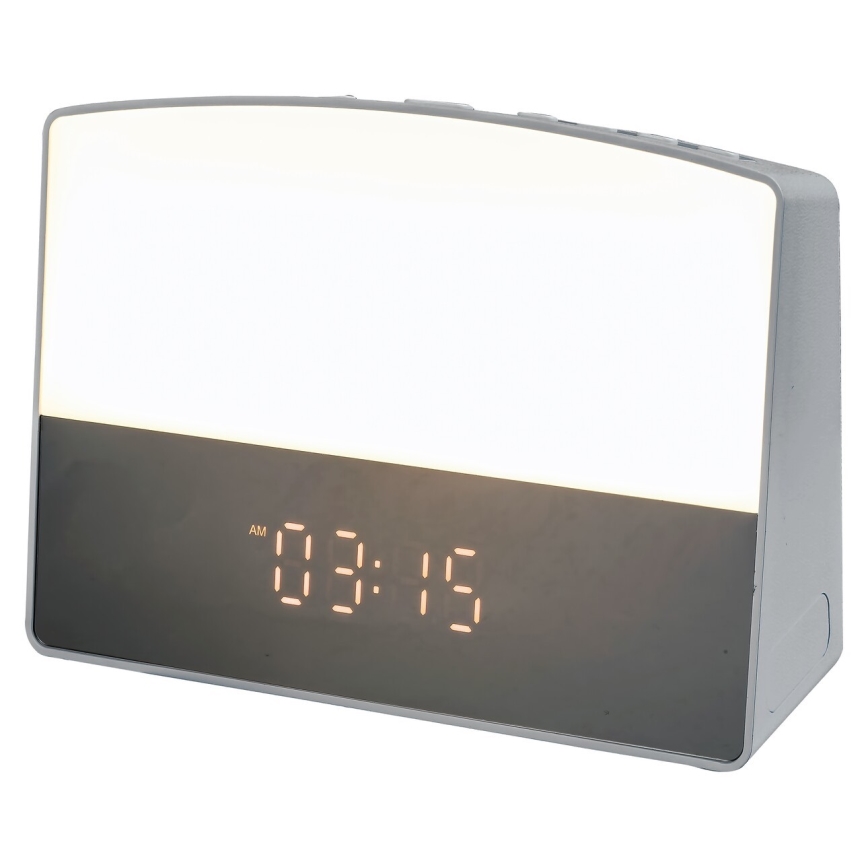 Rabalux - LED Stmívatelná stolní lampa LED/5W/230V 2700-3000K