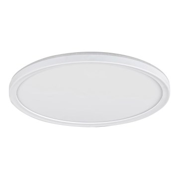 Rabalux - LED Stmívatelné stropní svítidlo LED/22W/230V pr. 42 cm