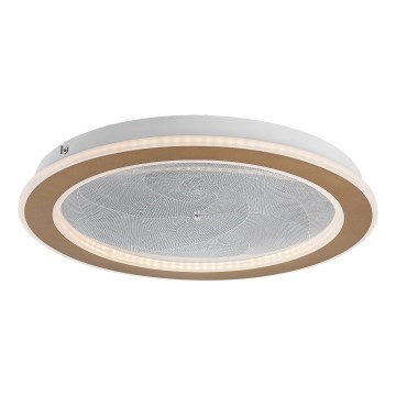 Rabalux - LED Stmívatelné stropní svítidlo LED/24W/230V 3000-6500K pr. 40 cm + dálkové ovládání