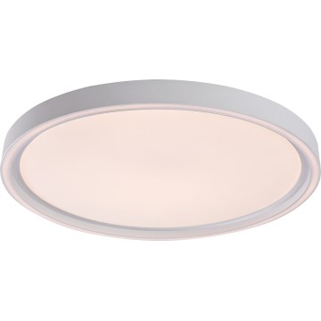 Rabalux - LED Stmívatelné stropní svítidlo LED/31W/230V IP40 3000-6500K pr. 41,5 cm + dálkové ovládání