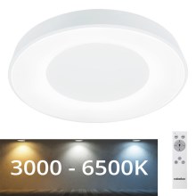 Rabalux - LED Stmívatelné stropní svítidlo LED/38W/230V bílá + DO 3000-6500K