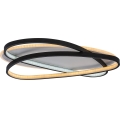 Rabalux - LED Stmívatelné stropní svítidlo LED/57W/230V 3000-6000K 53x38 cm + dálkové ovládání