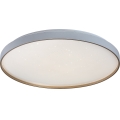 Rabalux - LED Stmívatelné stropní svítidlo LED/60W/230V 3000-6500K pr. 58 cm + dálkové ovládání