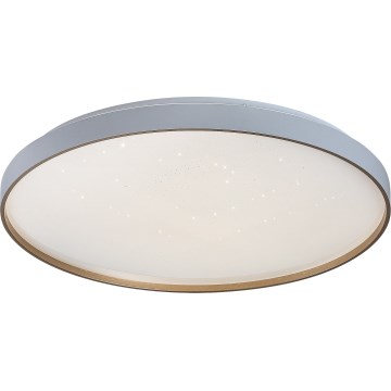 Rabalux - LED Stmívatelné stropní svítidlo LED/60W/230V 3000-6500K pr. 58 cm + dálkové ovládání