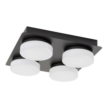 Rabalux - LED Stropní koupelnové svítidlo 4xLED/5,2W/230V IP44 černá