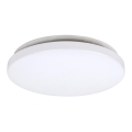 Rabalux - LED Stropní svítidlo 1xLED/20W/230V pr. 29 cm