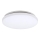 Rabalux - LED Stropní svítidlo 1xLED/20W/230V pr. 29 cm