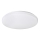Rabalux - LED Stropní svítidlo 1xLED/32W/230V pr. 38 cm