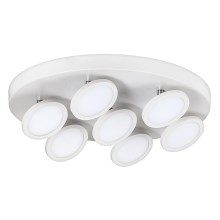 Rabalux - LED Stropní svítidlo 7xLED/6W/230V bílá