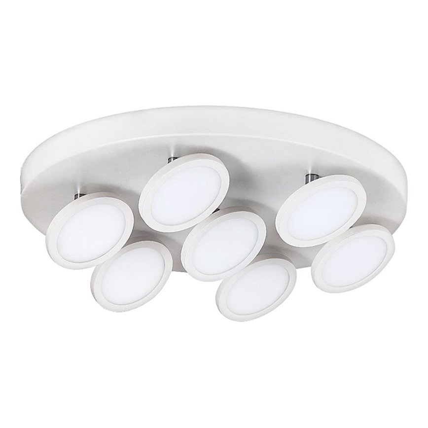 Rabalux - LED Stropní svítidlo 7xLED/6W/230V bílá