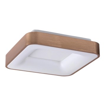 Rabalux - LED Stropní svítidlo CARMELA LED/30W/230V 40x40 cm