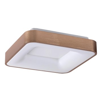 Rabalux - LED Stropní svítidlo CARMELA LED/50W/230V 60x60 cm