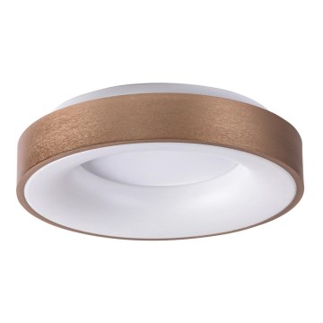Rabalux - LED Stropní svítidlo CARMELA LED/50W/230V