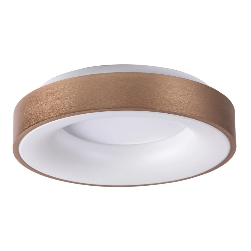 Rabalux - LED Stropní svítidlo CARMELA LED/50W/230V