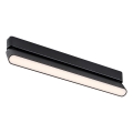 Rabalux - LED Stropní svítidlo do 1-fázového lištového systému LED/16W/230V 3000K 33 cm černá