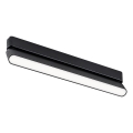 Rabalux - LED Stropní svítidlo do 1-fázového lištového systému LED/16W/230V 4000K 33 cm černá