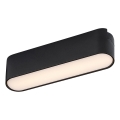 Rabalux - LED Stropní svítidlo do 1-fázového lištového systému LED/6W/230V 3000K 11,5 cm černá