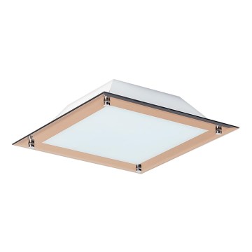 Rabalux  - LED Stropní svítidlo LARS 1xLED/12W/230V 30x30 cm